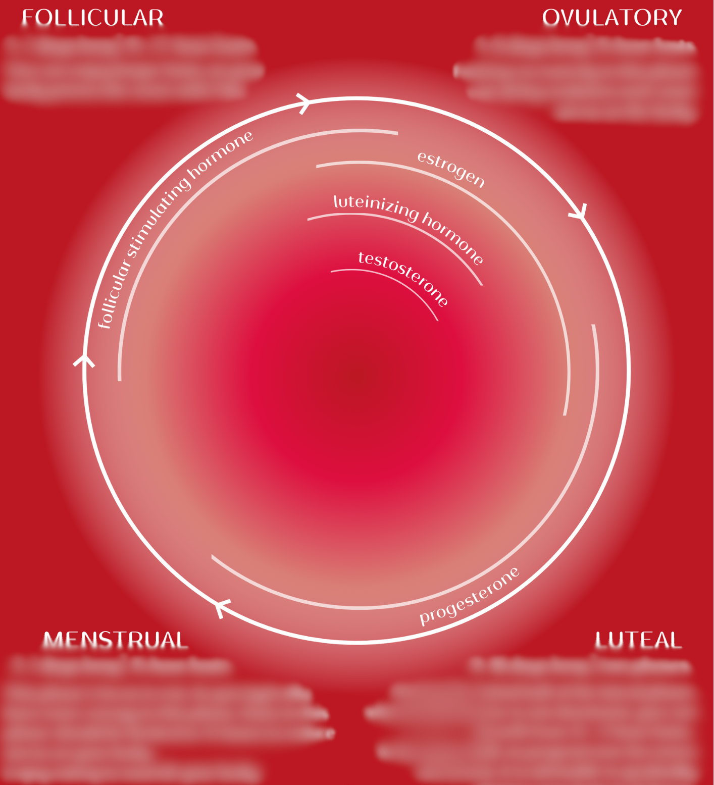 Infradian Fasting Chart