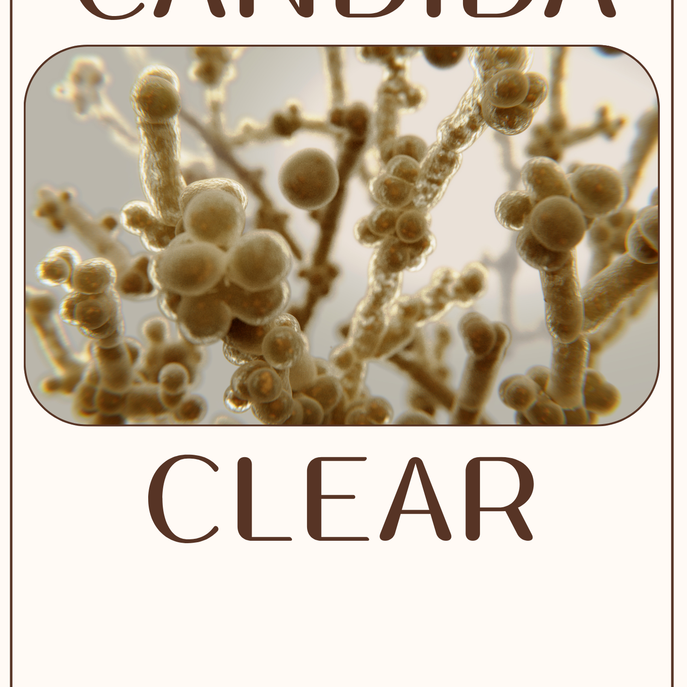 Clear Candida Ebook