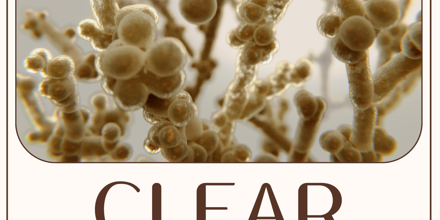 Clear Candida Ebook