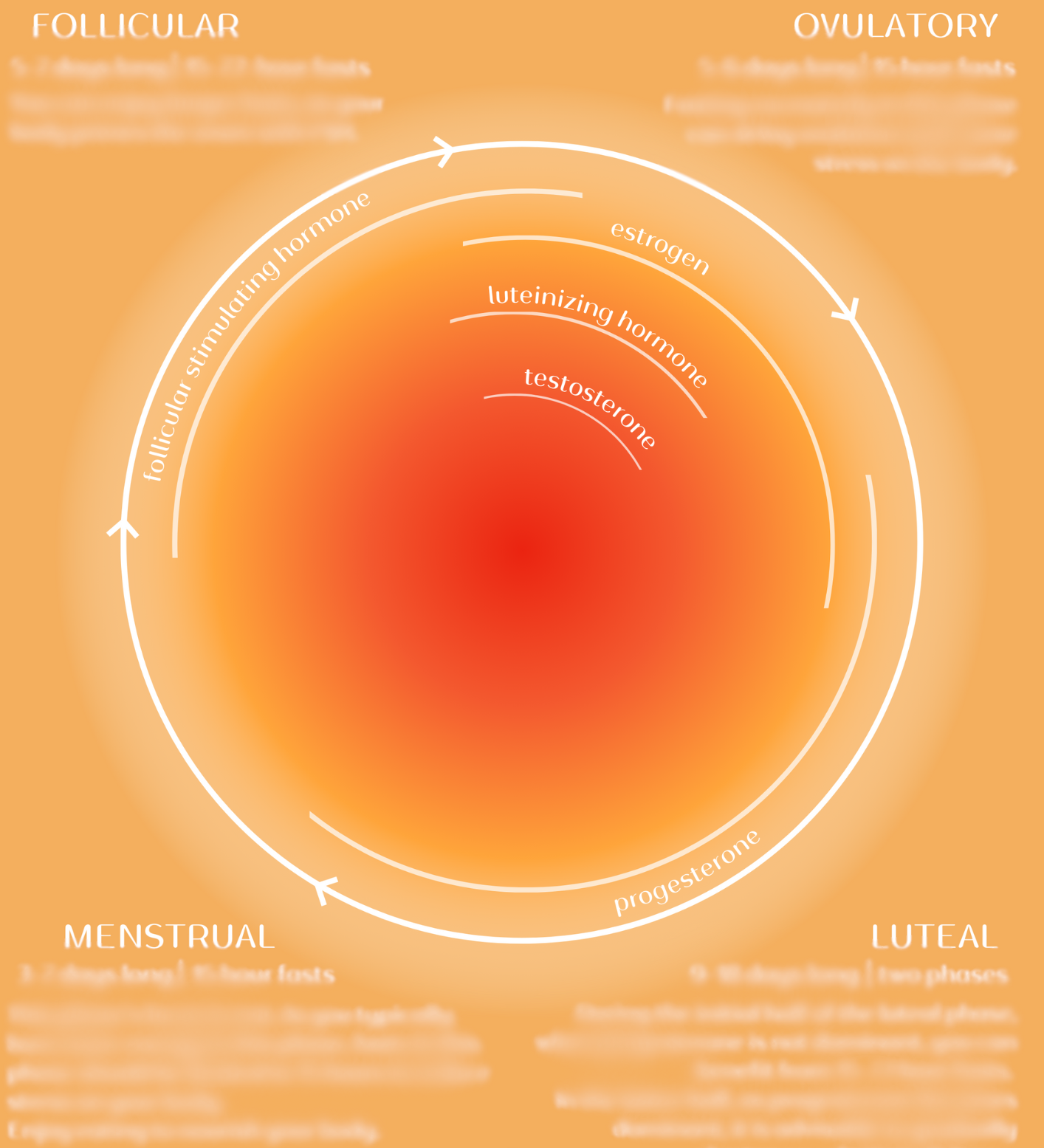 Infradian Fasting Chart