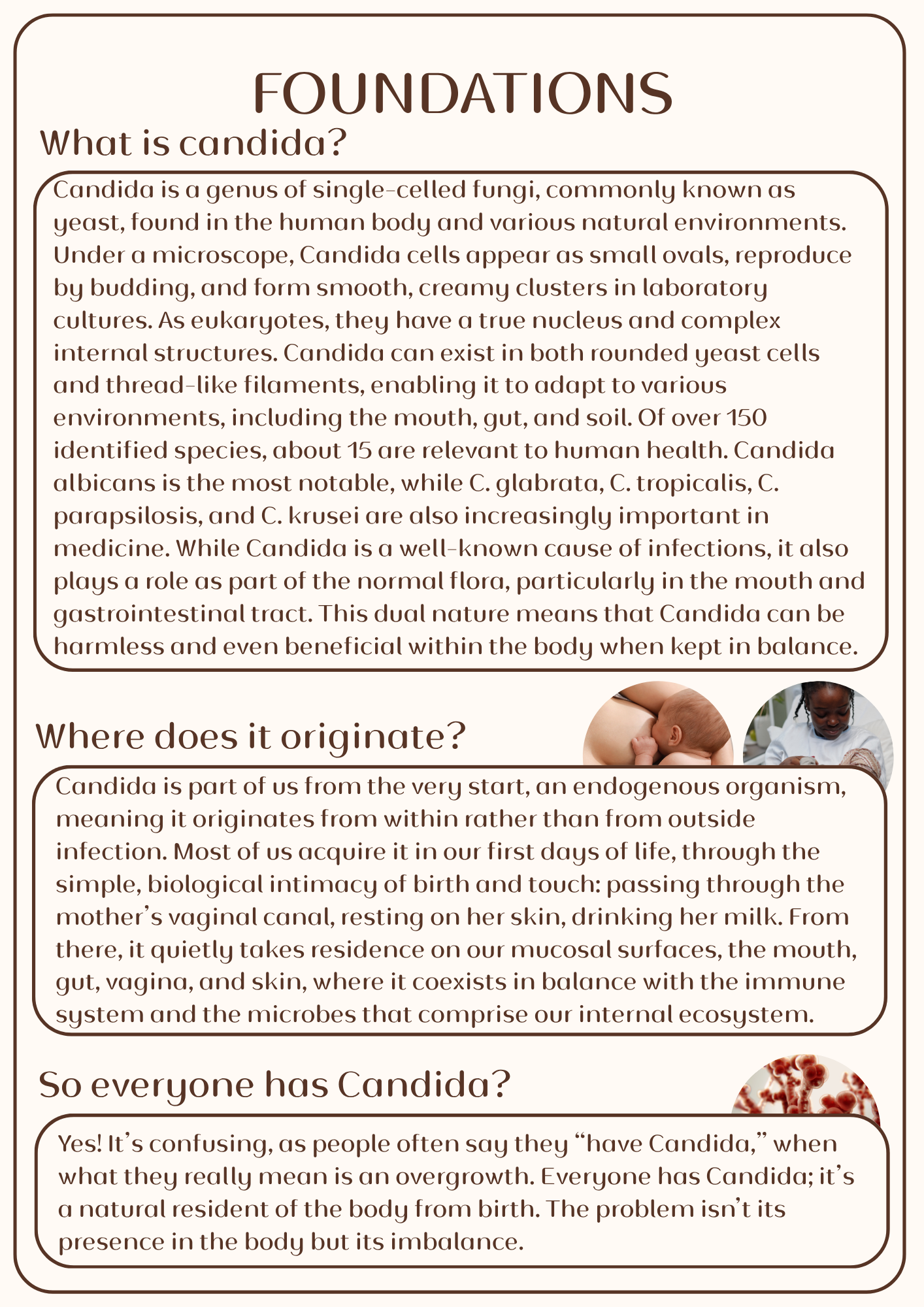 Clear Candida Ebook