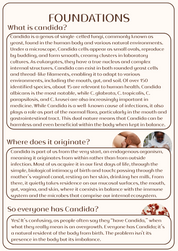 Clear Candida Ebook