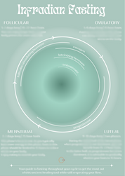 Infradian Fasting Chart