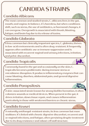 Clear Candida Ebook
