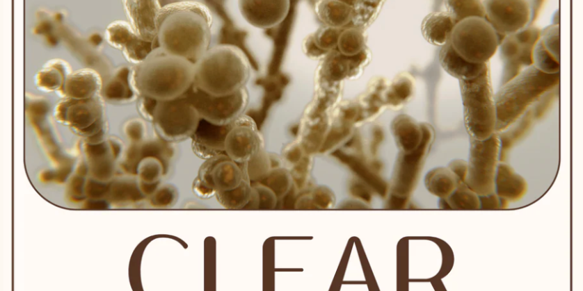Clear Candida Ebook