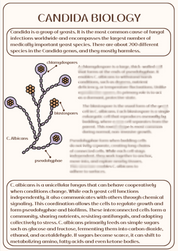 Clear Candida Ebook
