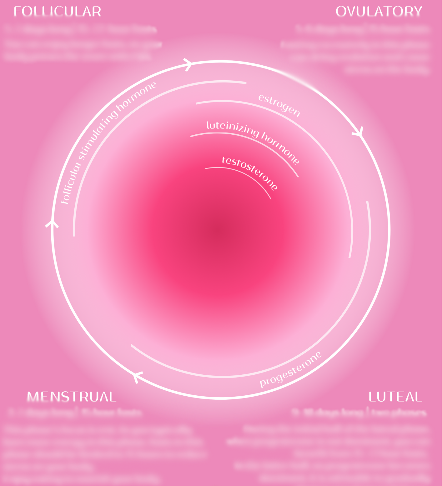 Infradian Fasting Chart