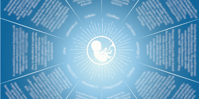 Pregnancy Nourishment Chart