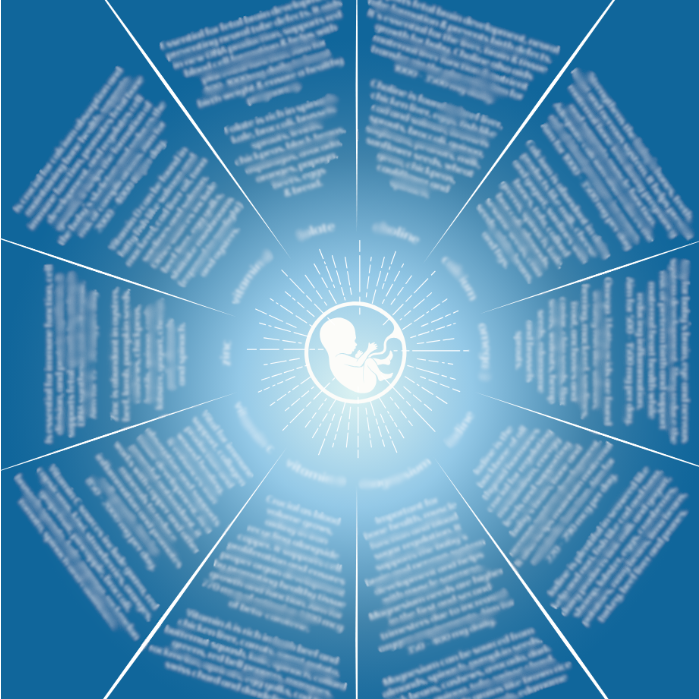 Pregnancy Nourishment Chart