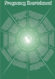 Pregnancy Nourishment Chart