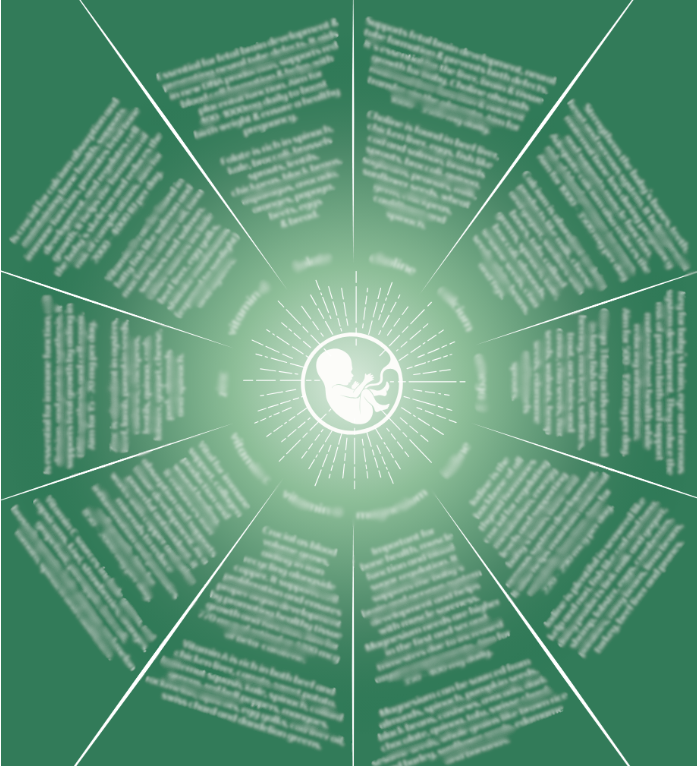 Pregnancy Nourishment Chart