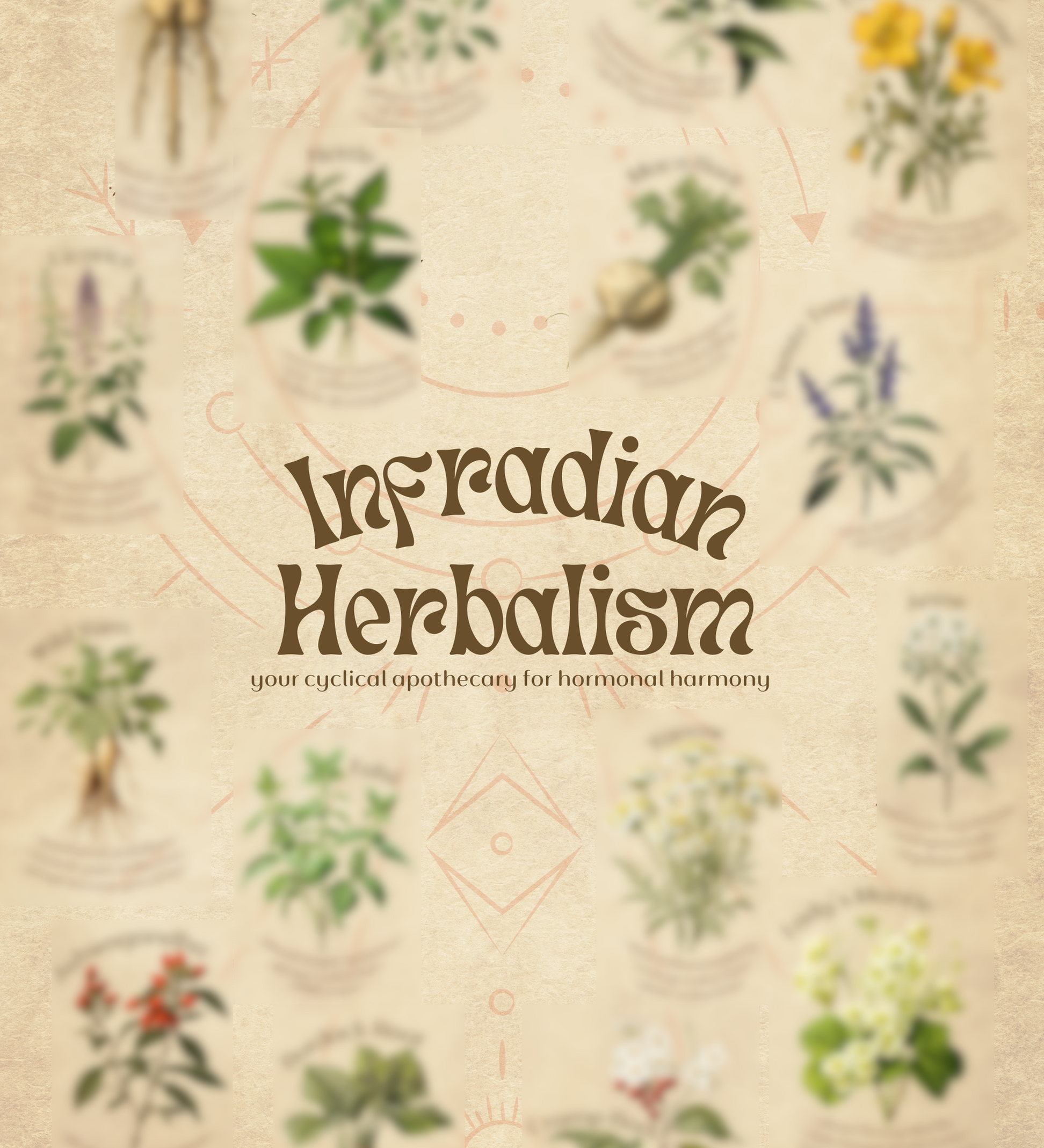 INFRADIANHERBALISMblur_5e353006-1411-4d5c-9e06-d63269b39f1a.png