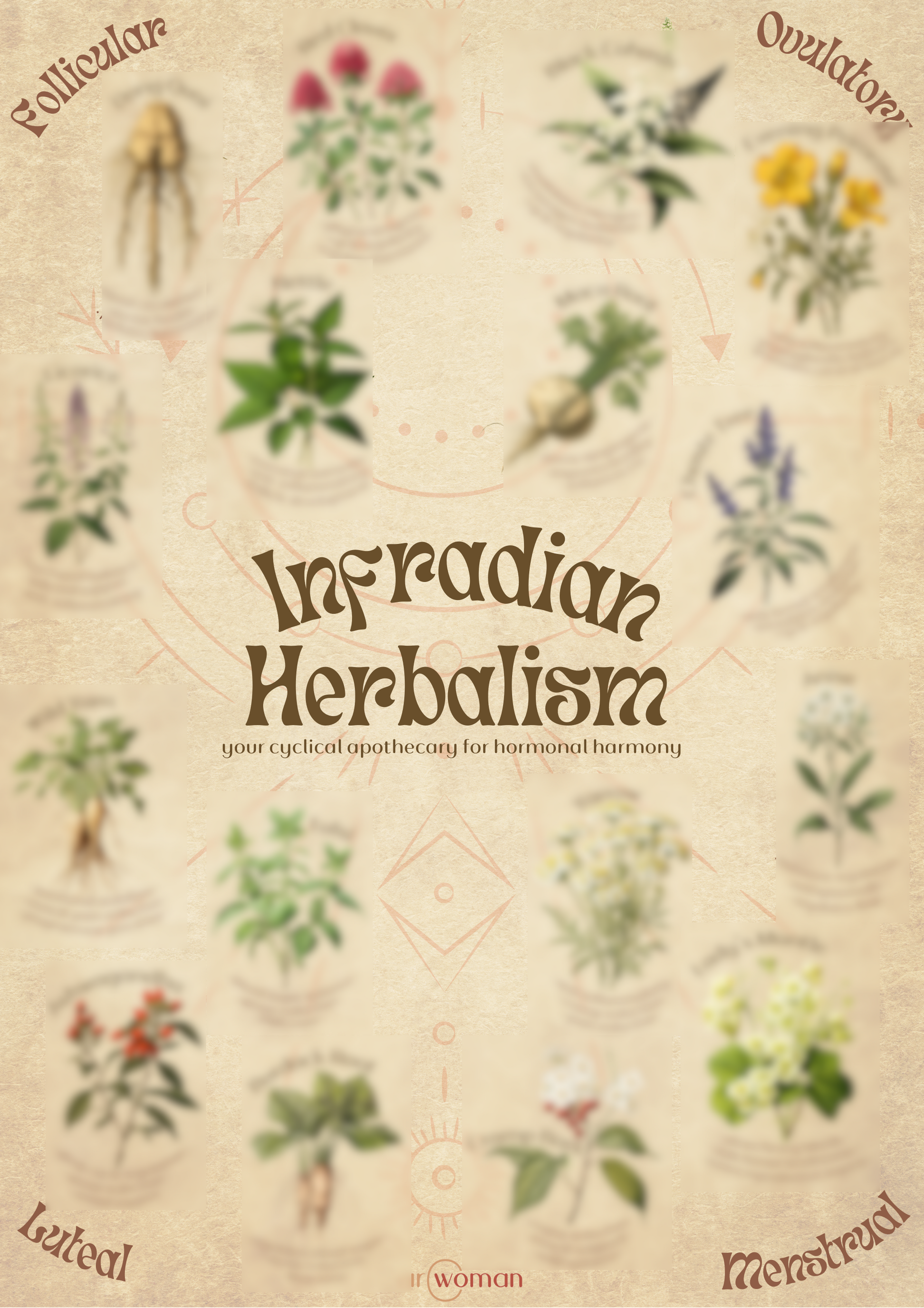 INFRADIANHERBALISMblur_5e353006-1411-4d5c-9e06-d63269b39f1a.png