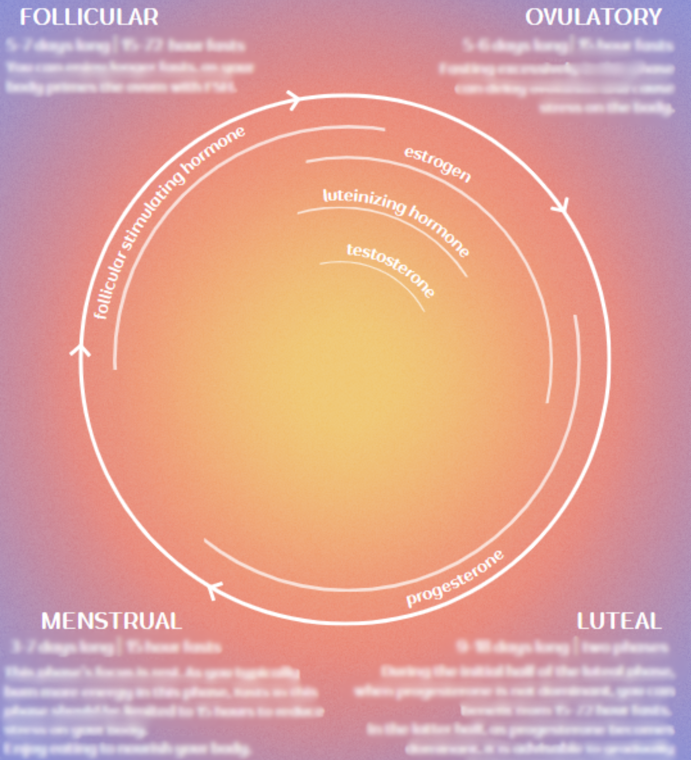 Infradian Fasting Chart