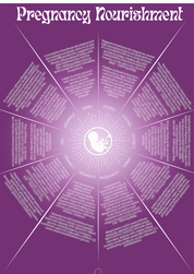 Pregnancy Nourishment Chart