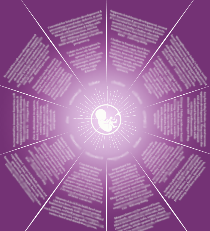 Pregnancy Nourishment Chart