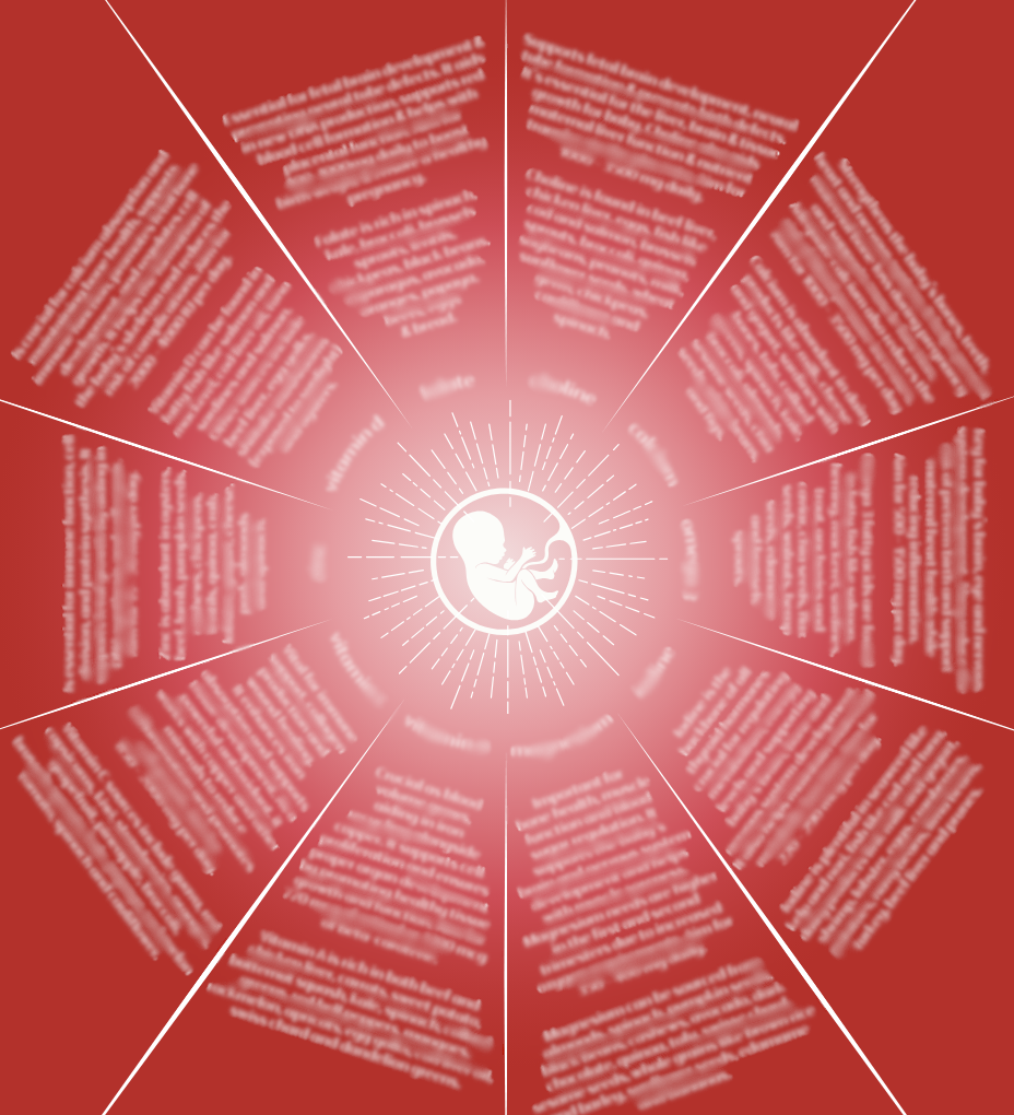 Pregnancy Nourishment Chart
