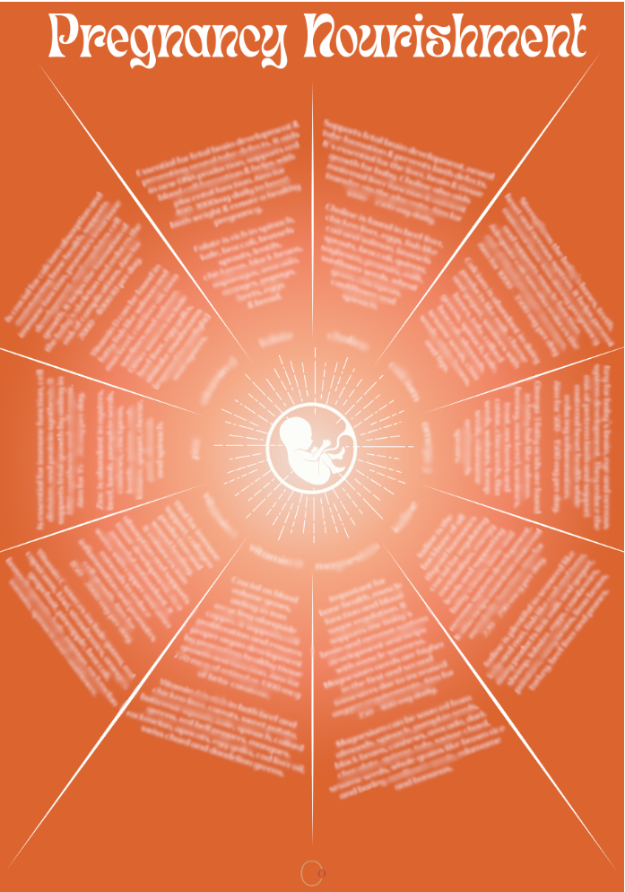 Pregnancy Nourishment Chart