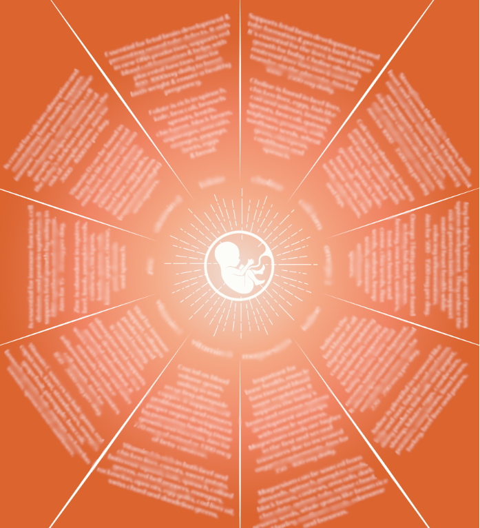 Pregnancy Nourishment Chart